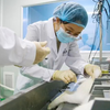 生物相容性常规三项检测‘体外细胞毒性测试’‘皮肤刺激测试’‘致敏检测’等三项