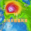 台风贝碧嘉的恩怨情仇