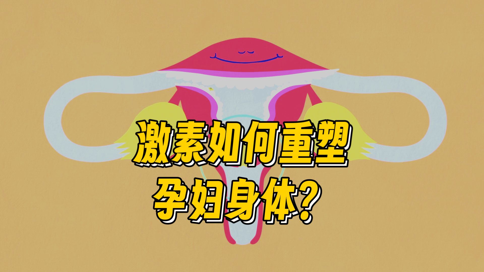 妊娠的惊人影响【TED-Ed】