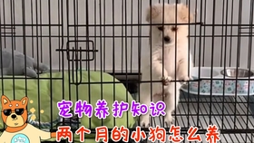 3508fd86da21c11c8a9f3fd805c8138224239ead.jpg@280w_158h_1c_100q.jpg