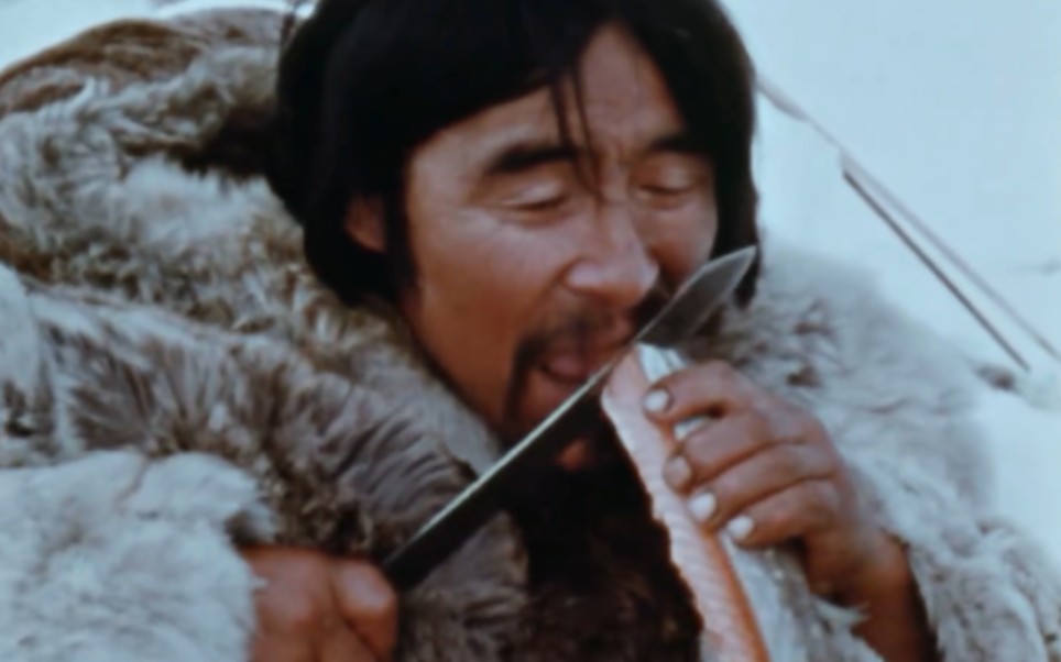 卧槽！冻成冰块的鲑鱼肉，因纽特人不加咀嚼的直接生吃！