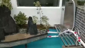 怎么养鱼不用加氧 352330aaa76046921c1762256dbccfedb0a44829.jpg@280w_158h_1c_100q.jpg