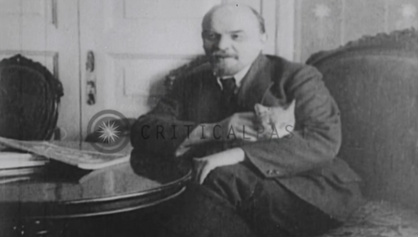 列宁撸猫影像