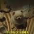 【惘然】韩国广告 别让你的狗狗等太久