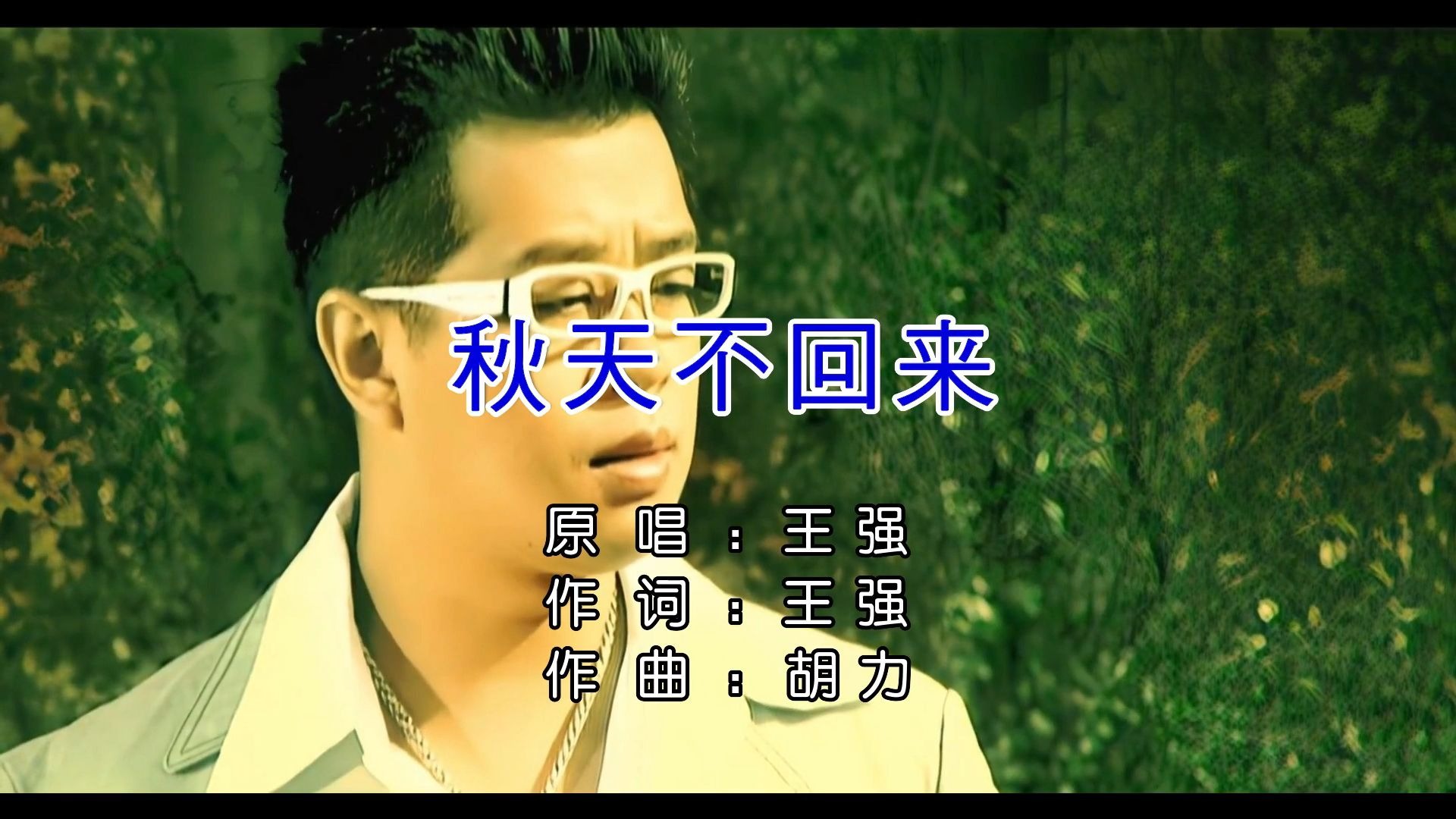 王强-秋天不回来(KTV)修复版