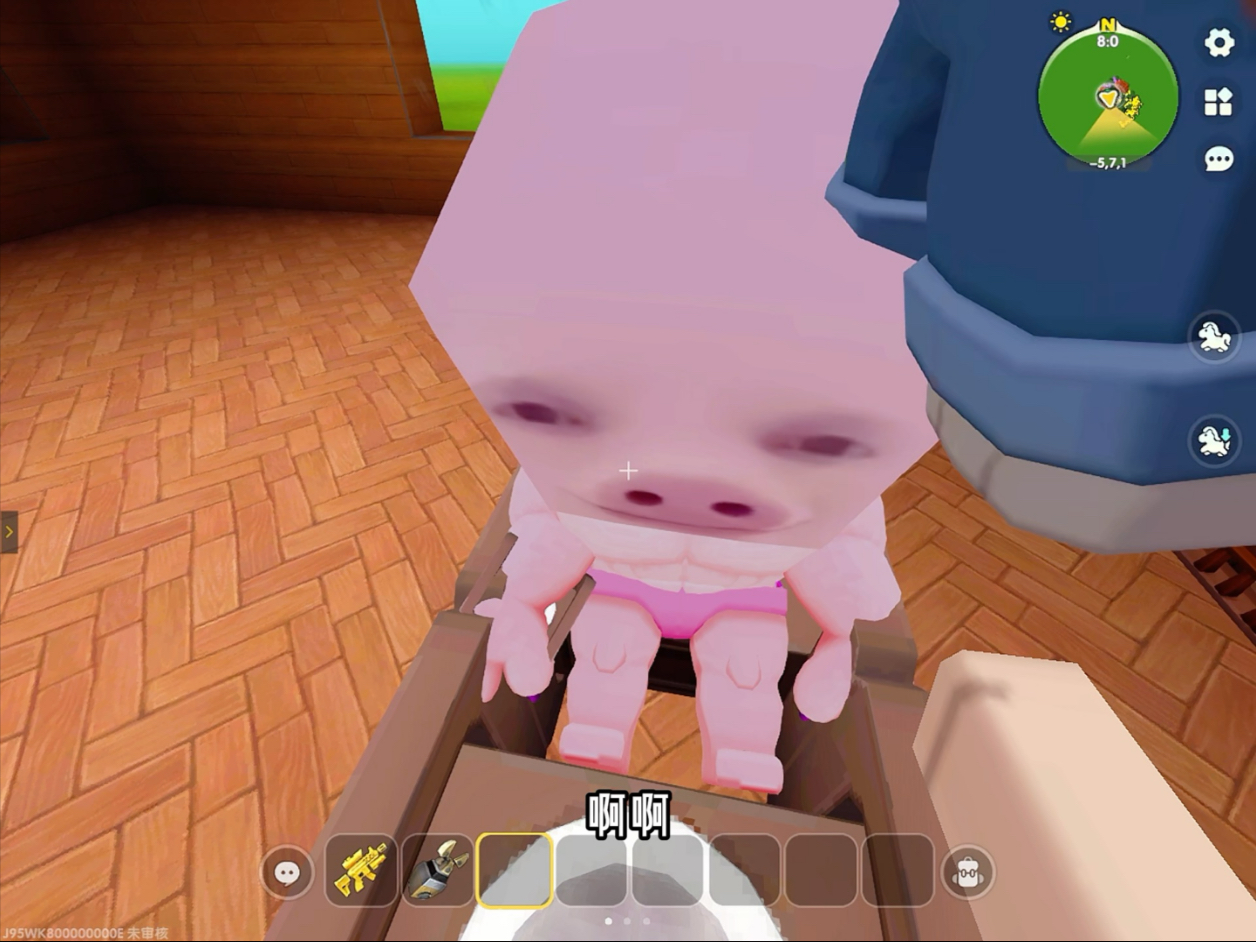 可恶的pig god居然和小猫一起诓我