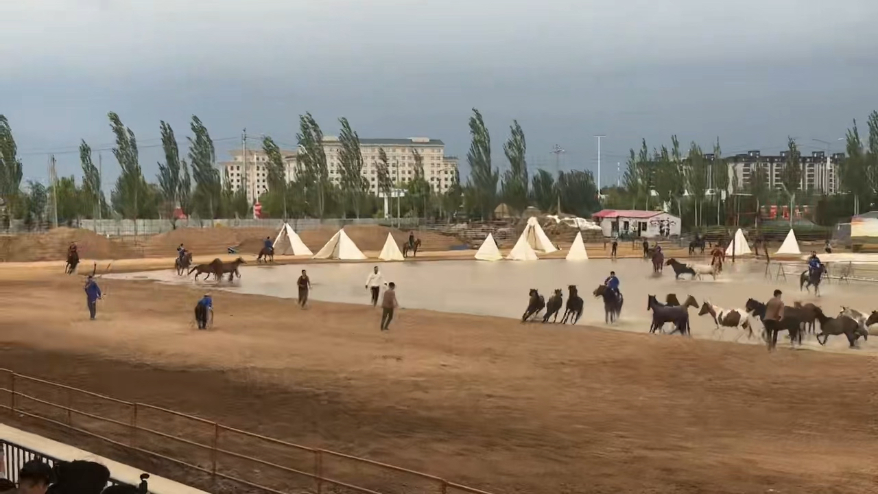 乌兰察布之夜。马术表演。超赞