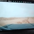 方程豹，阿拉善马山井沙漠