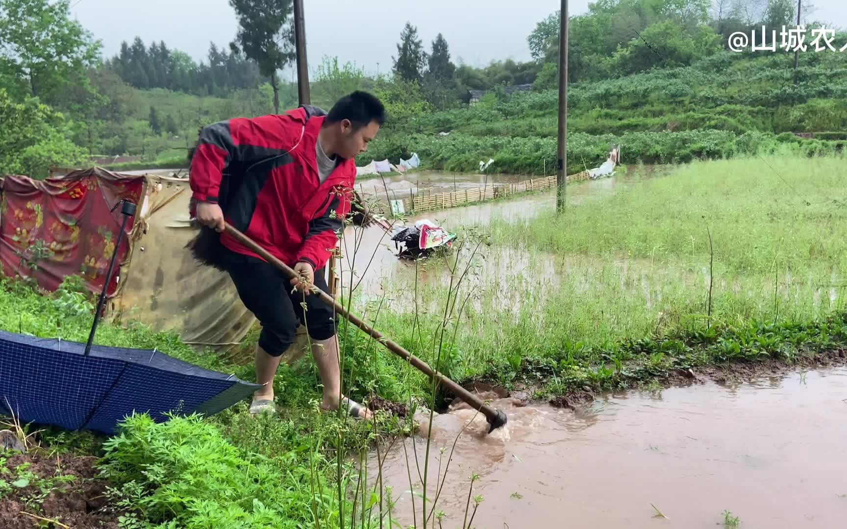 暴雨来袭，鱼塘瞬间被山水灌满，还塌陷了一段，这下麻烦可大了