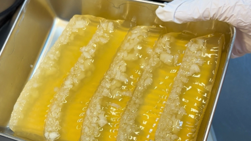 在深圳开糖水工作室的一天