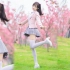 【4K竖屏】樱花与少女，you（＝l）