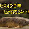 把地球46亿年的历史压缩成24小时，你会看到哪些伟大事件