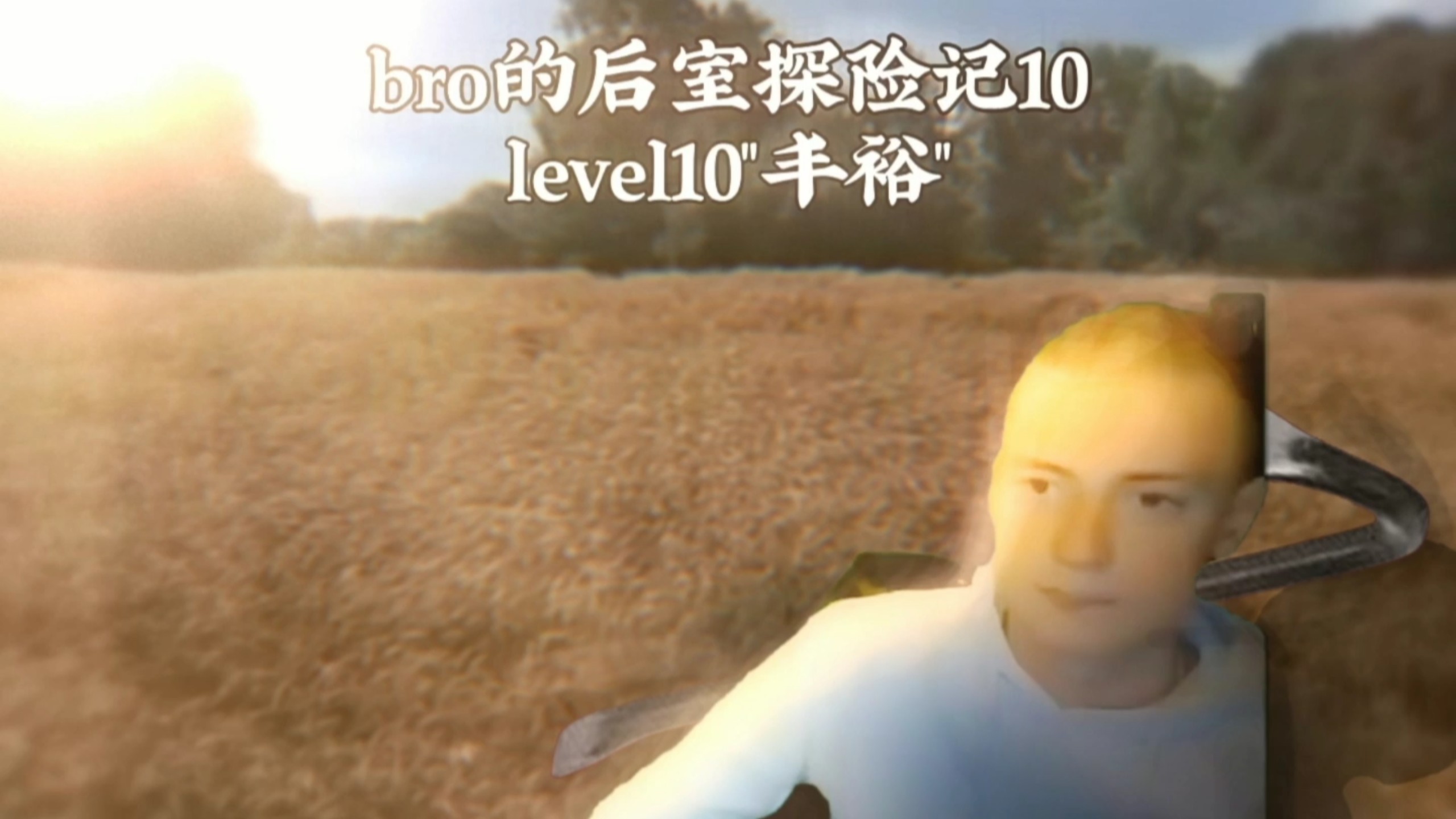 bro的后室探险记10 level10丰裕 “一片金黄的麦田”