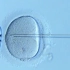 如何选择单个精子，然后直接用细玻璃管注射到卵子中
