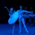 【18岁的白天鹅】天鹅湖白天鹅双人舞 Eva Sergeyenkova /Sergeenkova（debut），Arte