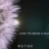 中英双字-万物生长&植物之歌How-to-grow-a- planet.720p.BD-2