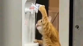 35fa5c33aeb448426c4636ecd25afe19b3e16d61.jpg@280w_158h_1c_100q.jpg