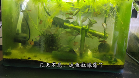 35fc65d054333eb0b411fb1b9abe1aad01f1afba.png@280w_158h_1c_100q.jpg