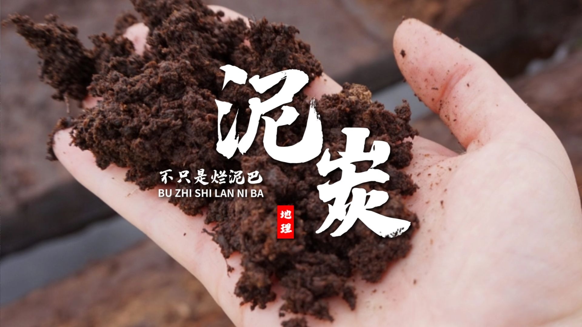 课前三分钟，地理不用愁——泥炭：未来的清洁燃料【看纪录片学地理】