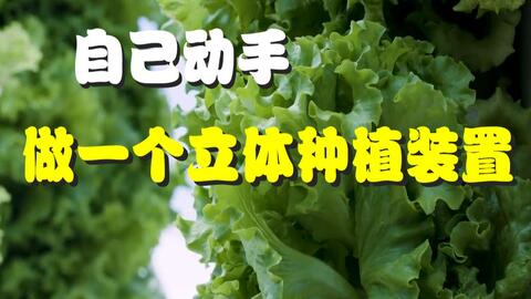 362461de70e70ac80b022f44ca75be9e881bfd48.jpg@480w_270h_1c