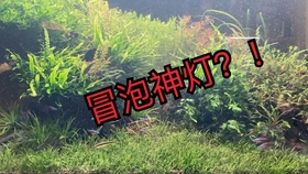 362947ea7013589470c5ff9a6ca0b662802d3c67.jpg@280w_158h_1c_100q.jpg