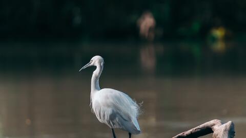 36520d6217a26579bbddc8220c9177132893d1bf.jpg@480w_270h_1c
