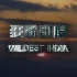 【纪录片/720P】印度野生大地【全四集】