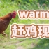 【warma发疯】赶鸡现场【旅游日记】