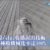 【大陸360】播種用上了「北斗導航」！新疆烏蘇170萬畝棉花全面開播 應用"智慧農機"~機械化率達100%降本增效