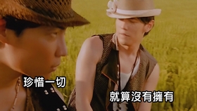 模特简谱李荣浩_麻雀李荣浩简谱(3)
