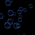 【绿幕菌】气泡动画视频丨黑色背景素材（无水印）