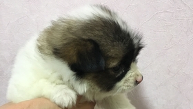 36db6726d3b9588d74dbf0c8bf622c3b4f2c19fd.jpg@280w_158h_1c_100q.jpg