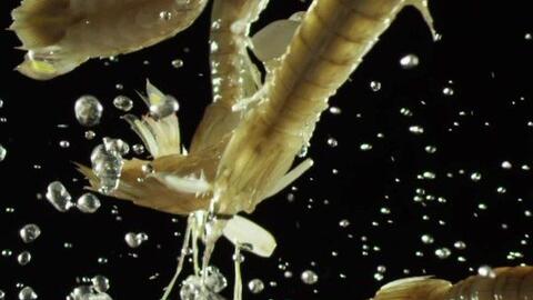 36e936bf5de2ccdb986f42992ce70b4841ff43a0.jpg@480w_270h_1c