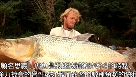 36ece8b0f410bc18a91b17e5a498d876fabddc32.jpg@280w_158h_1c_100q.jpg
