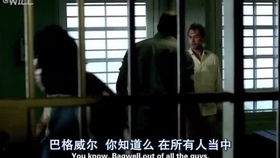美剧短剧，监狱生活揭秘——免费观看全攻略，美剧短剧揭秘监狱生活——免费观看全攻略