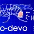 魔性科学音乐Evo-devo(Despacito演化发育生物学版)  A Capella Science
