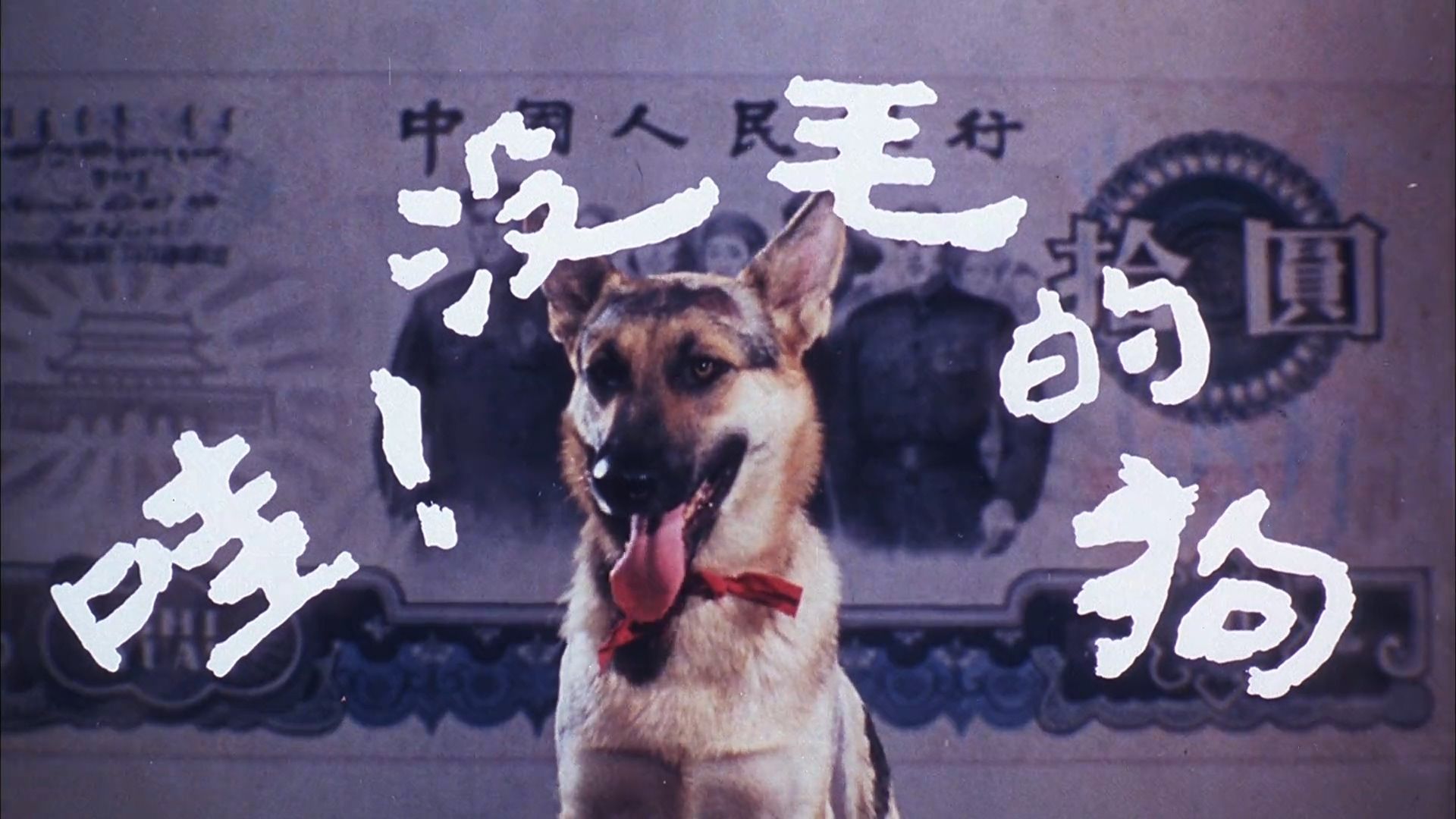 字幕下载