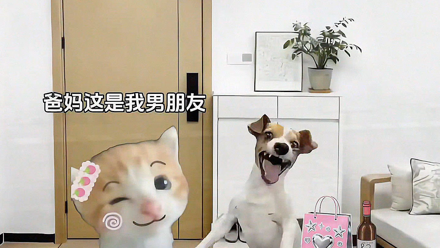 若她是真爱或许真的可以抵万难