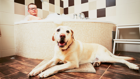 3792a2dac4e468b9b2ff3e5f078c82f118d1d20f.png@480w_270h_1c