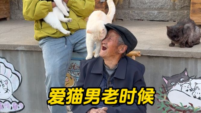 【我来看看小猫】纯享版