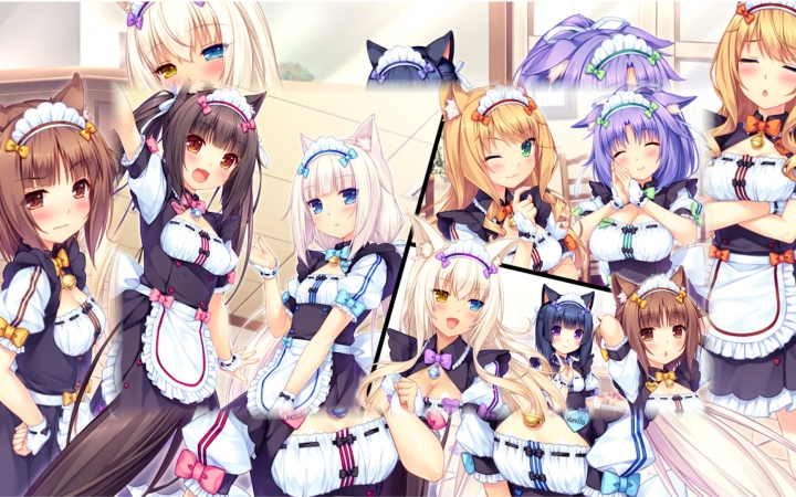 【nekopara vol.