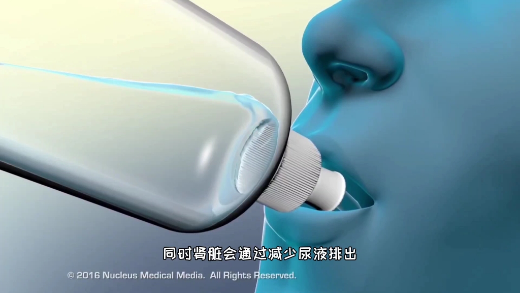 人为什么需要喝水，3D演示。。