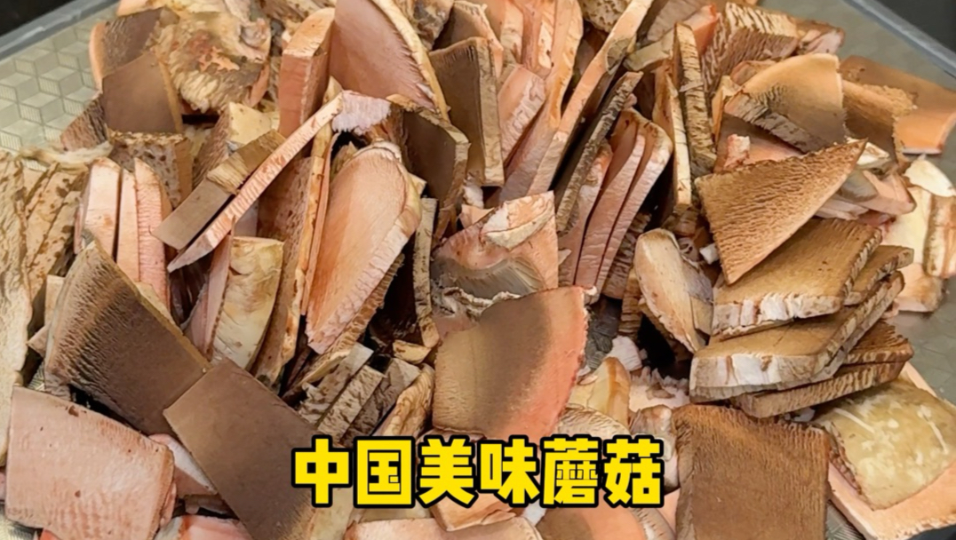 中 国 美 味 蘑 菇！新疆沙地里的蘑菇来东北体验了搓大澡……#中国美味蘑菇 #蘑菇 #最好的祛魅办法就是拥有它 #测评