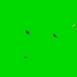 绿幕视频素材蝴蝶