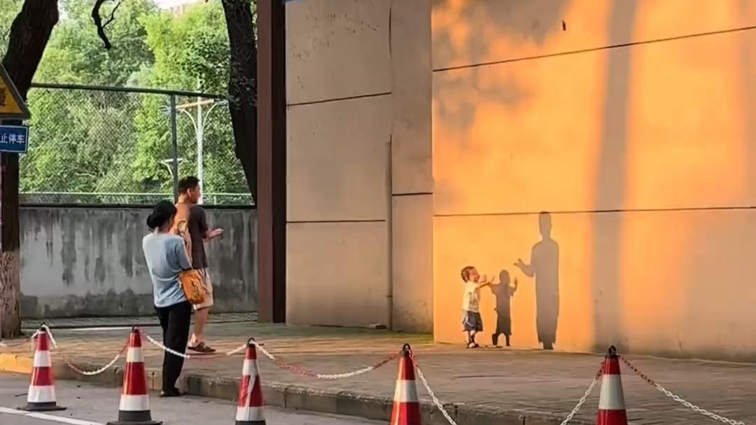 网友偶然拍到夕阳下的治愈瞬间，这一刻幸福具象化了❤️@王麻花