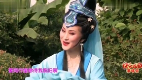 锡剧玉蜻蜓曲谱_字幕锡剧玉蜻蜓(4)