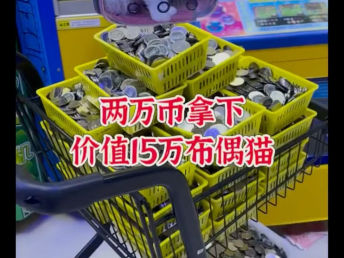 在电玩城用两万币拿下价值15万布偶猫