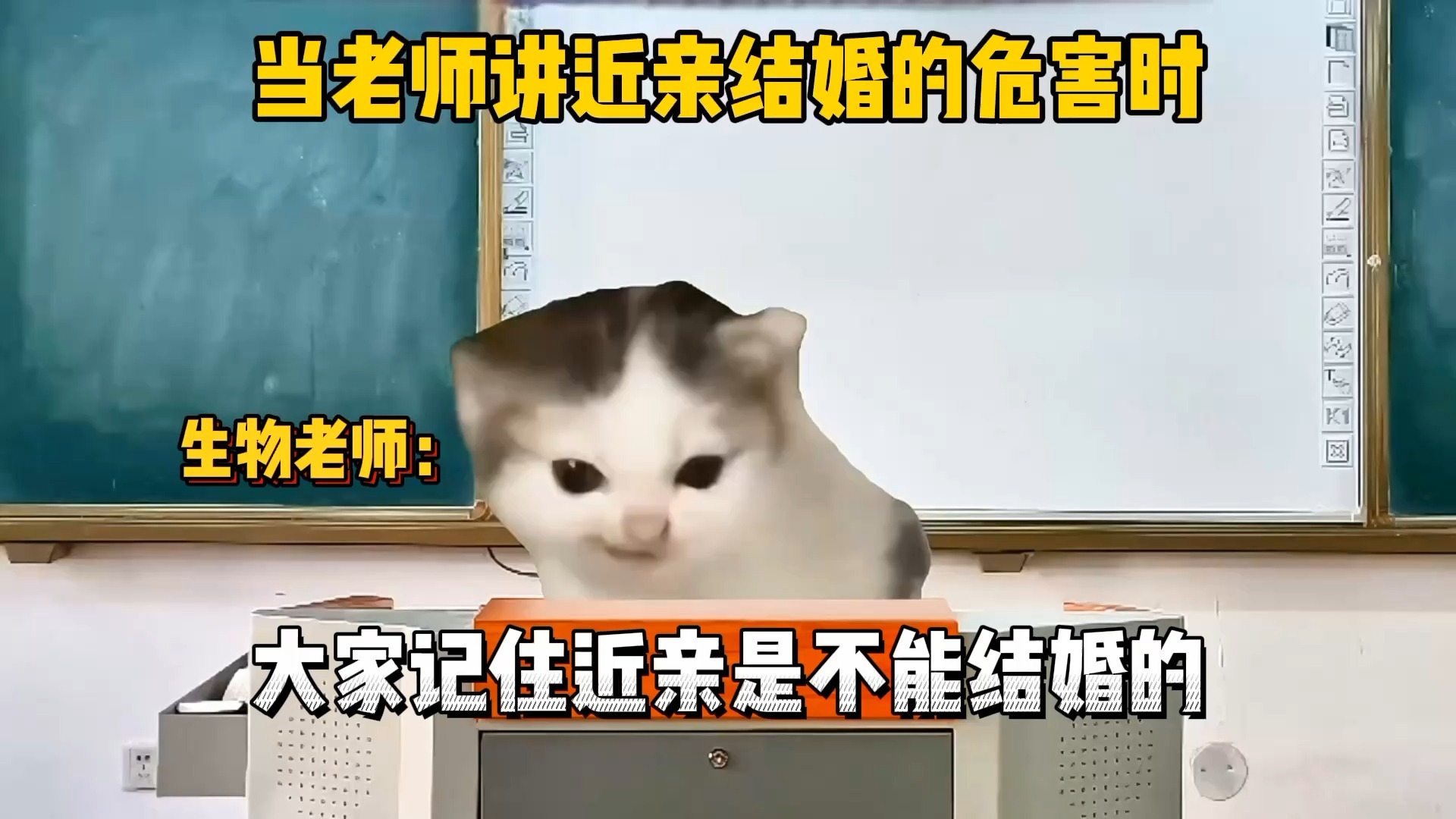 猫meme