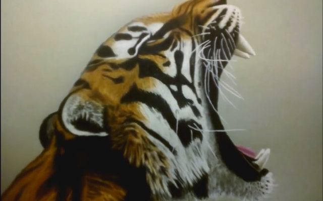 【真·触+彩铅】咆哮的老虎视频在线观看