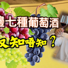 紅酒基本知識 [ 有那七種葡萄酒 ? 詳細解說 ] 紅酒入門 | 紅酒知識第二集 | 品酒